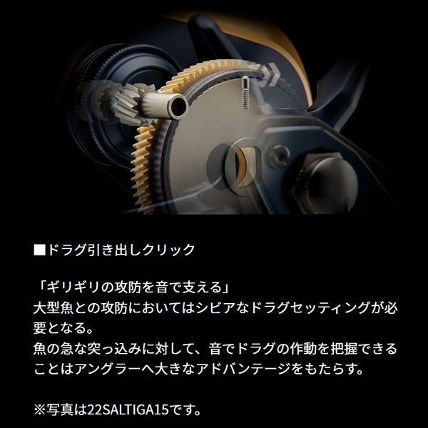 25ソルティガ